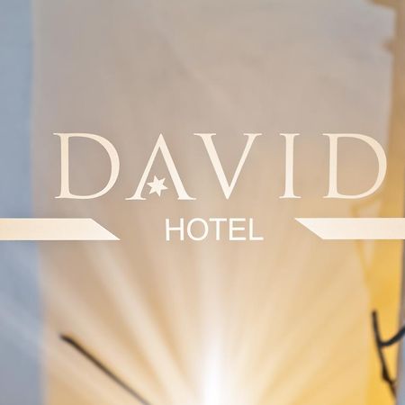 Hotel David An Der Donau Regensburg Bagian luar foto