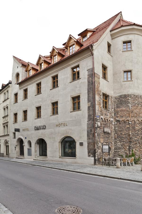 Hotel David An Der Donau Regensburg Bagian luar foto